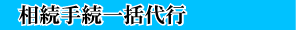 �����葱�ꊇ��s